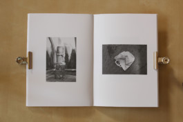 Romane Bourgeois
