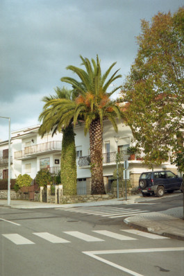 Romane Bourgeois