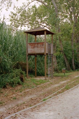 Romane Bourgeois